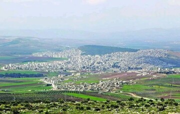 ادامه قطع سیستماتیک درختان در عفرین سوریه توسط گروه‌های تحت حمایت ترکیه